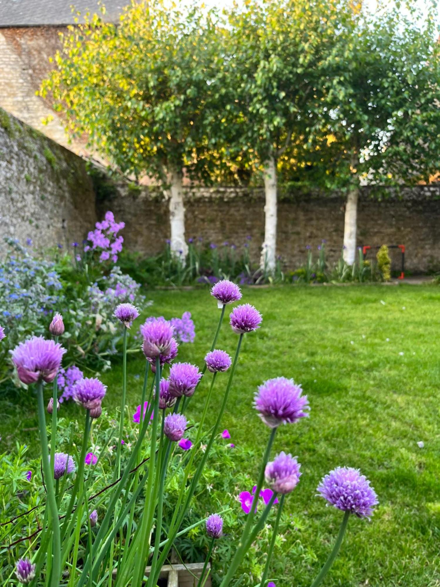 Maison Chaleureuse Avec Jardin - Pause Normande Sées Extérieur photo